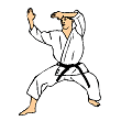 Haiwan uke