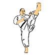 Mae geri