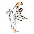 Mawashi geri
