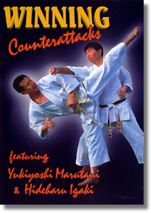 Winning Karate 2: Counterattacks